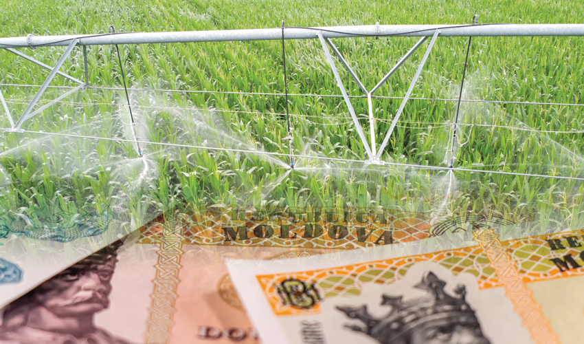 AIPA: фермеры получат еще 70 млн леев