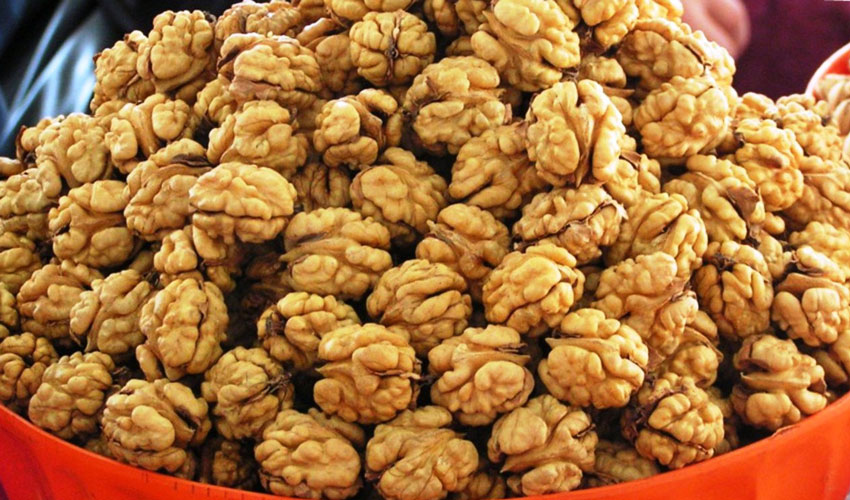 Экспорт в ЕС грецкого ореха из Молдовы и Украины стагнирует