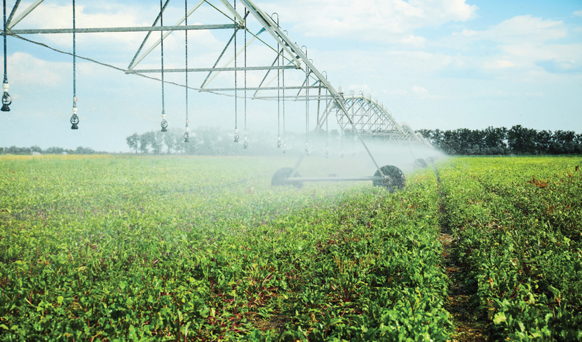 Partners will help with irrigation rehabilitation