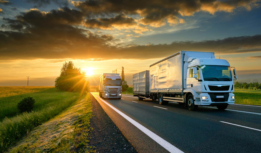 Timpul de trafic transfrontalier al mărfurilor perisabile va fi redus