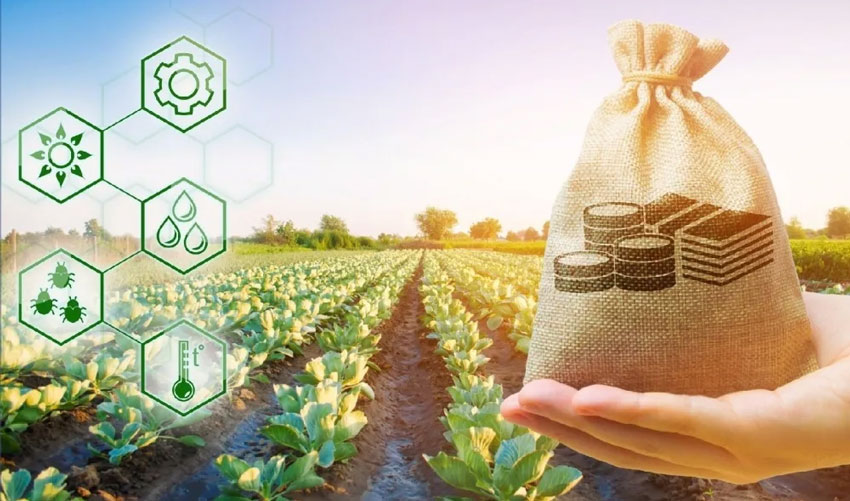 Фермеры каких районов Молдовы запрашивают больше субсидий?