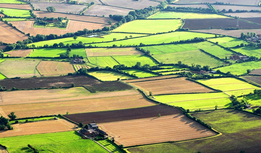 Guvernanța agribusiness va fi consolidată pentru integrarea europeană