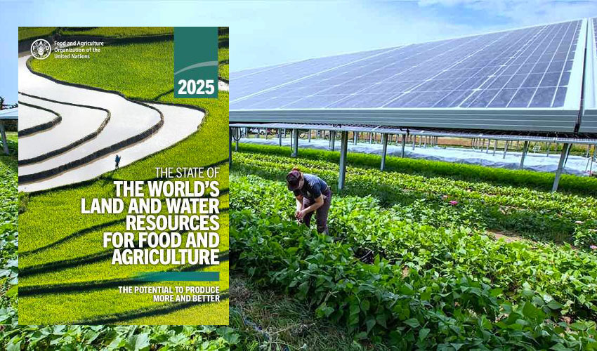 Доклад SOWAL 2025: как накормить планету?