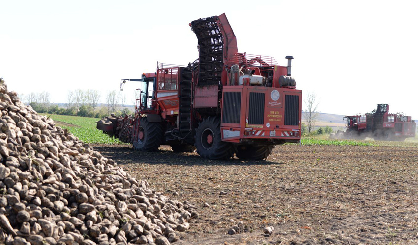 Теплый и влажный декабрь может добавить проблем фермерам