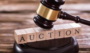 Land auctions left landless