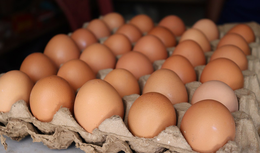 ANSA face apel la vigilență