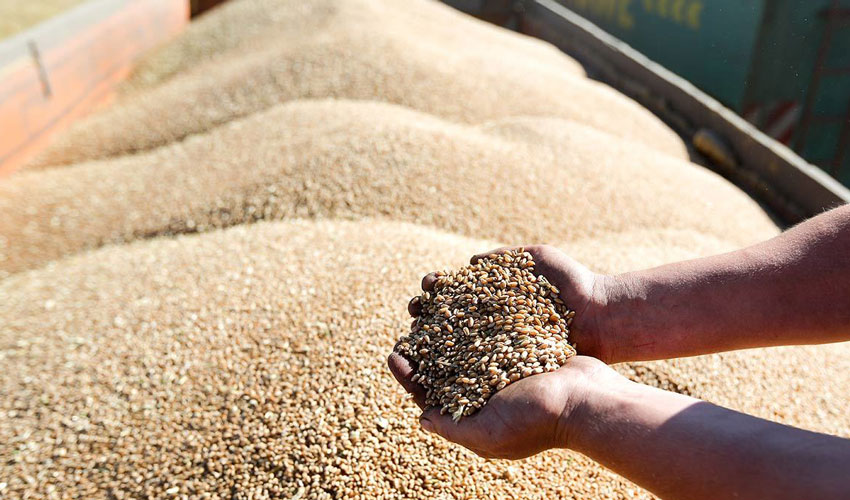 Moldova refuză licențierea importurilor de cereale din Ucraina