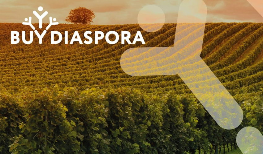 «Buy Diaspora» повысит узнаваемость Молдовы