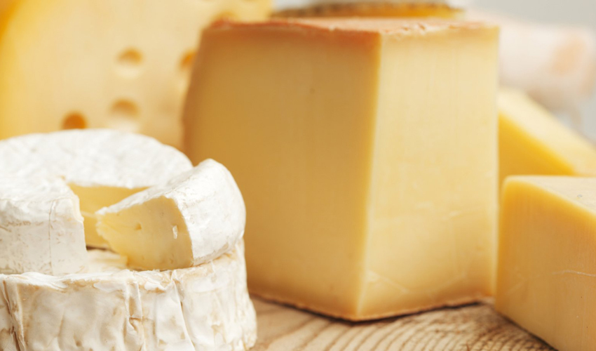Сырный экспорт Украины держится на Молдове и Казахстане