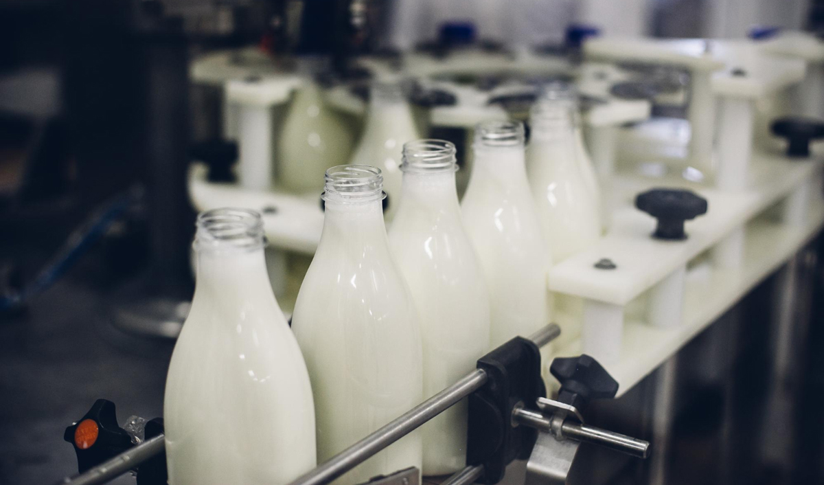 Moldova to become self-sufficient in milk processing by 2030