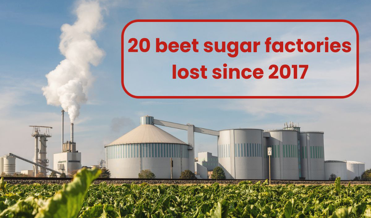 Sugar factories are closing in the European Union