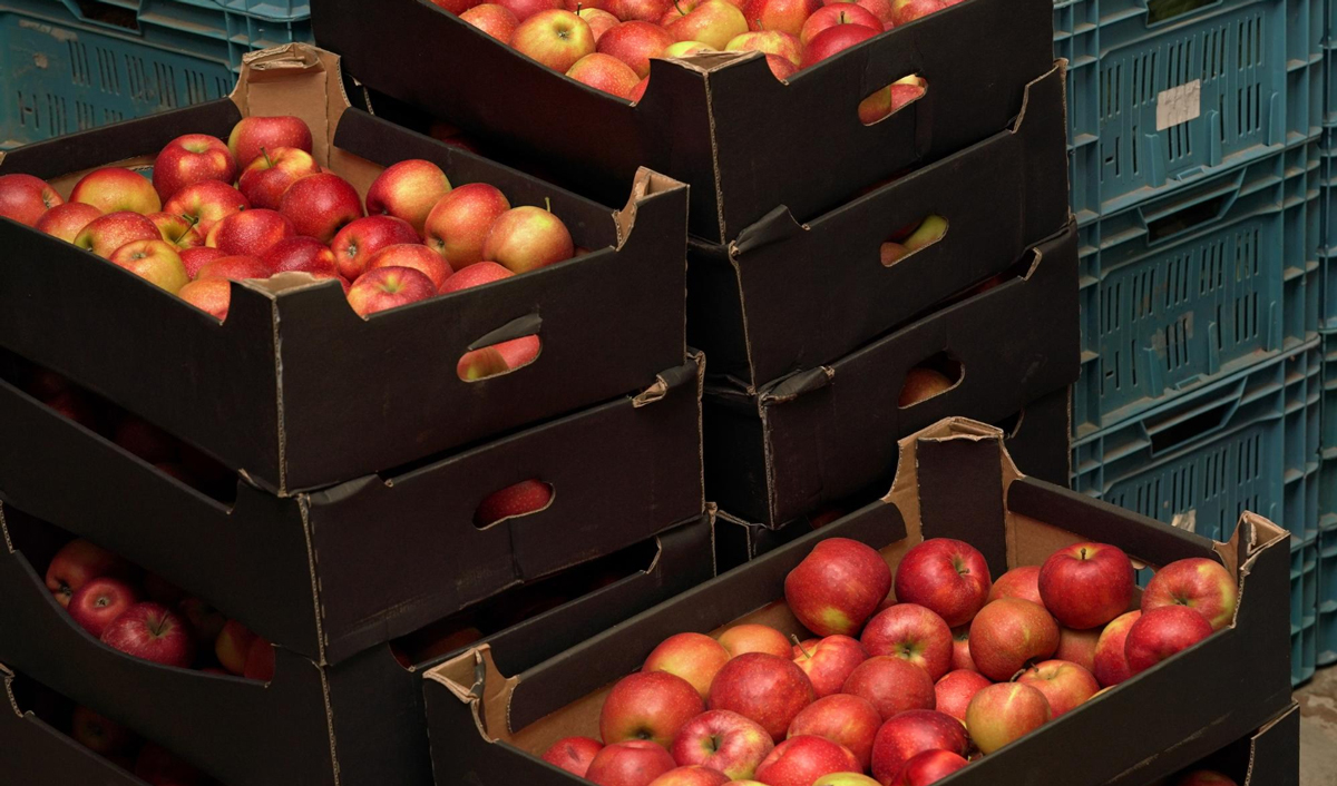 Prețurile pentru merele roșii au crescut în Moldova