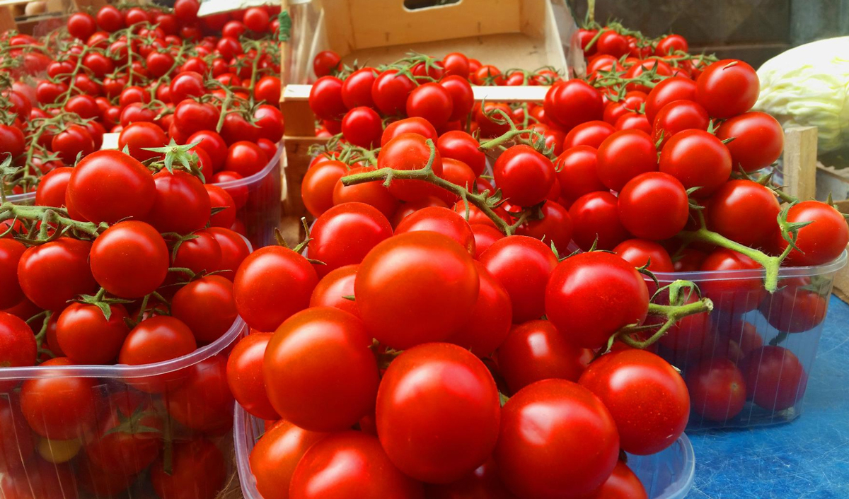 Moldova is the largest buyer of Ukrainian tomatoes