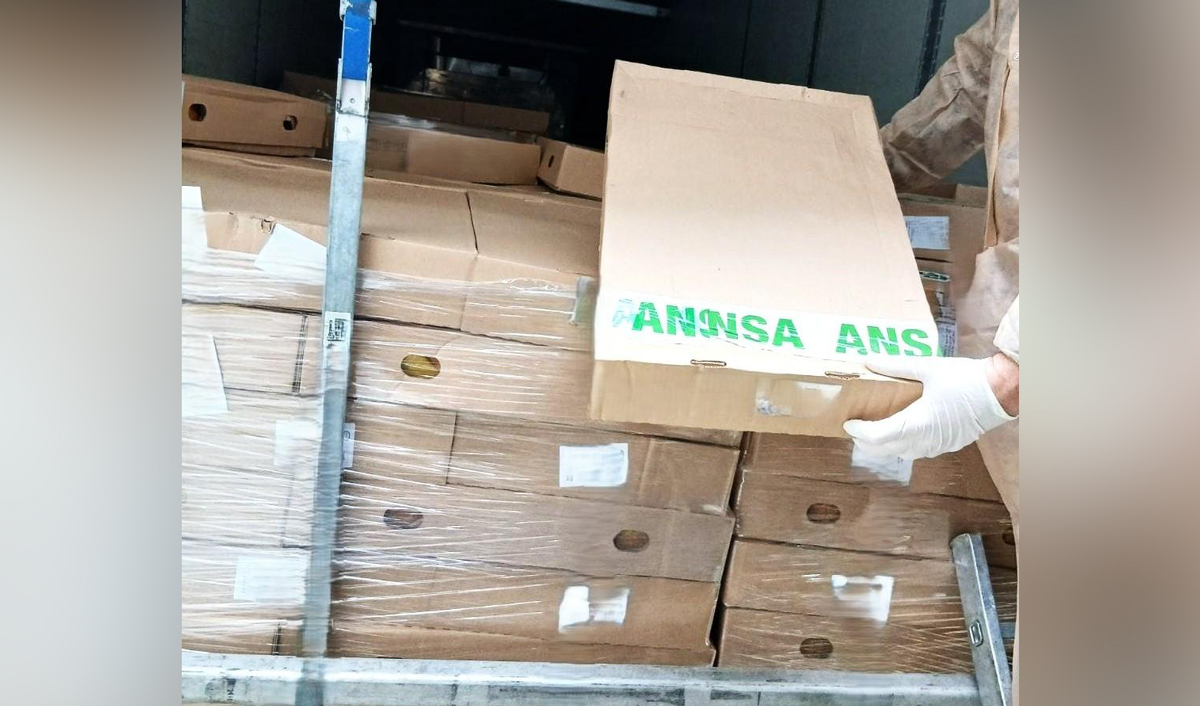 ANSA prevented the import of chicken with salmonella into Moldova