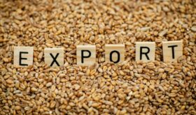 export de cereale