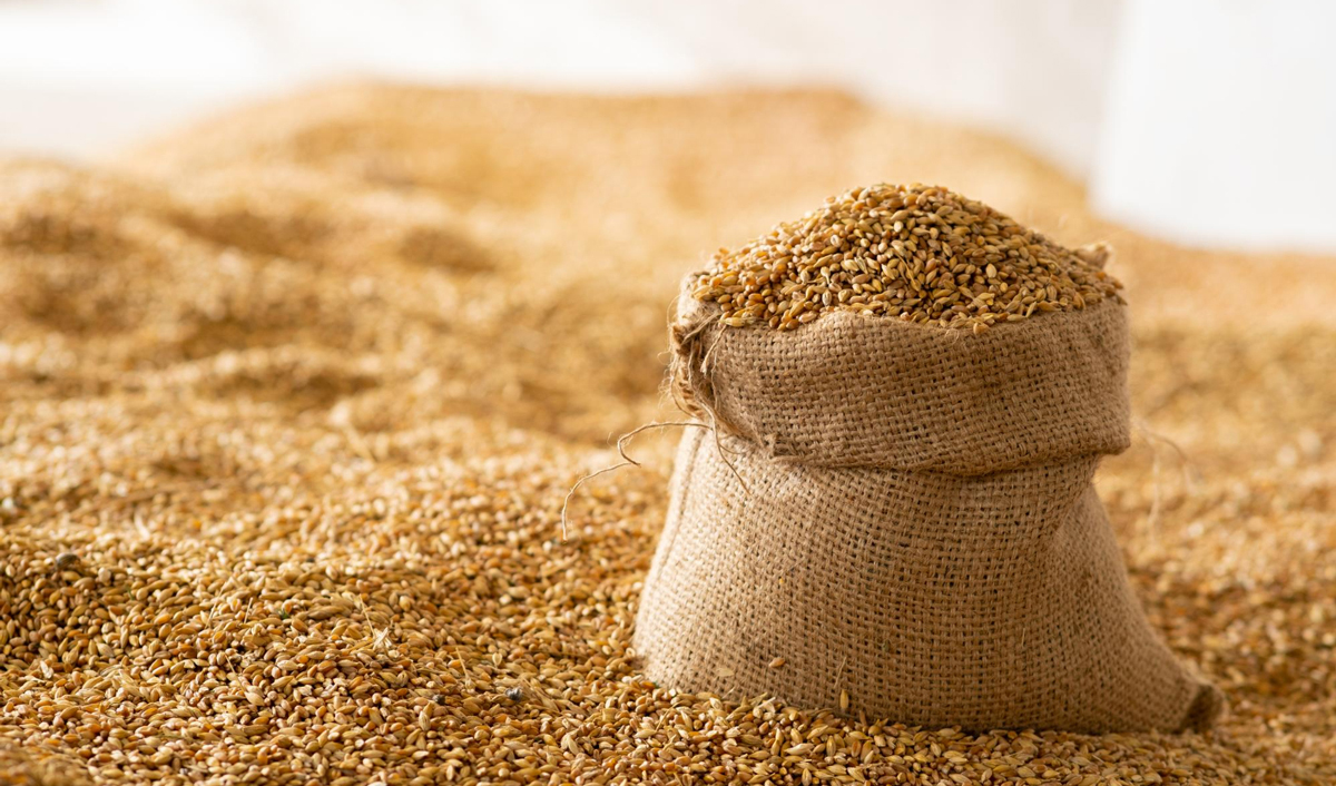 In Moldova, wheat price stagnates and does not depend on quality