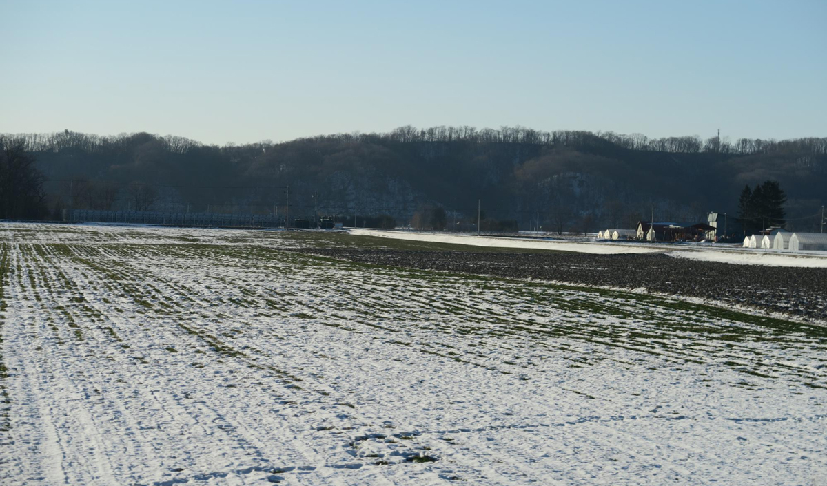 Activitatea de asigurare a pierdut perioada de iarnă a asigurării riscurilor agricole