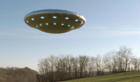 UFOs over the forest