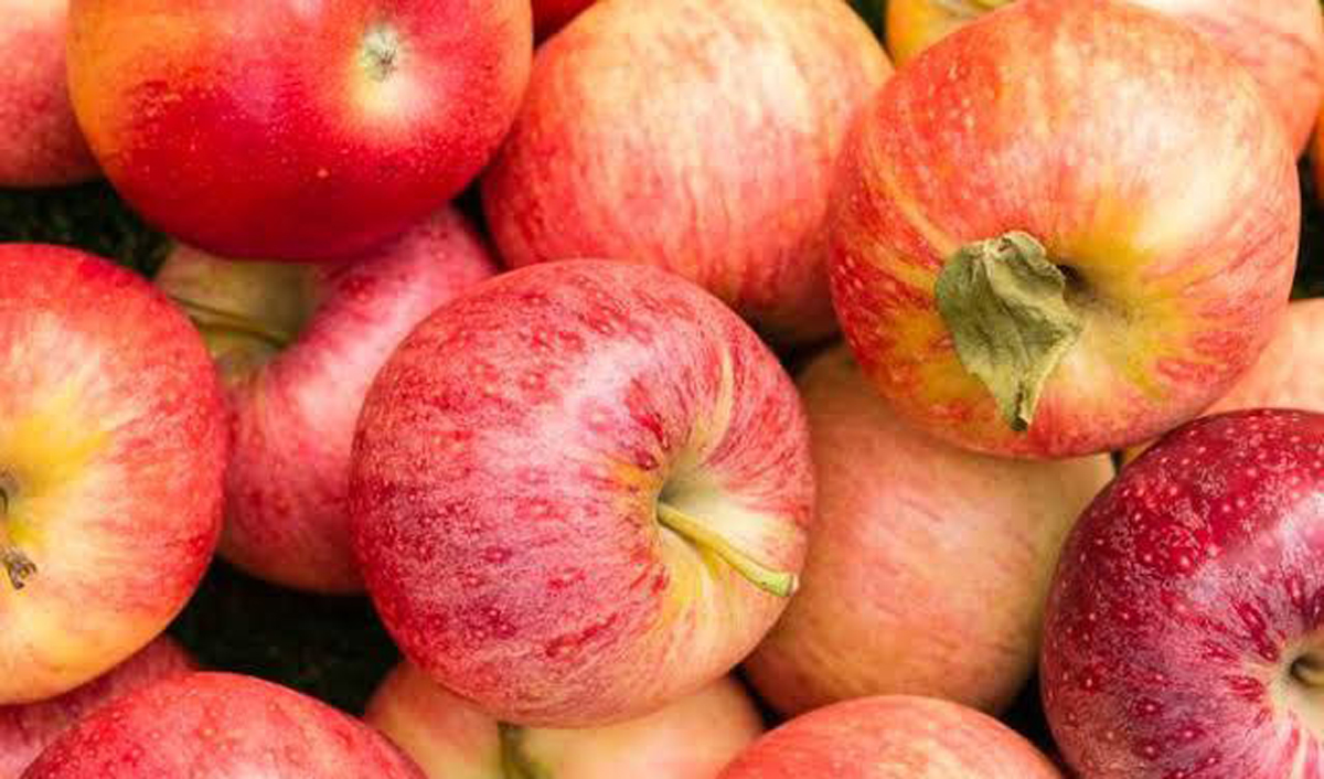 Moldovan apple market enters March under price pressure