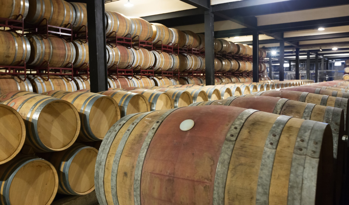 Наука в бокале: как Bodegas Ysios превращает Rioja в лабораторию премиального вина