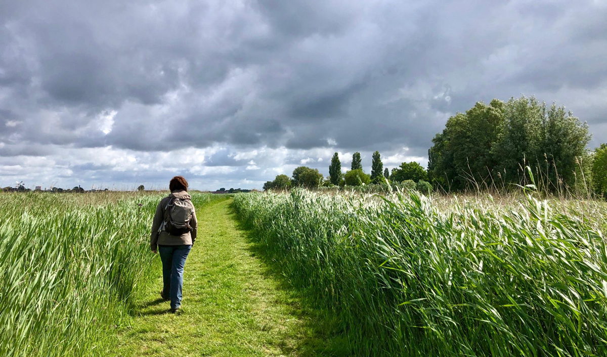 Uzbekistanul învață cum să facă să plouă