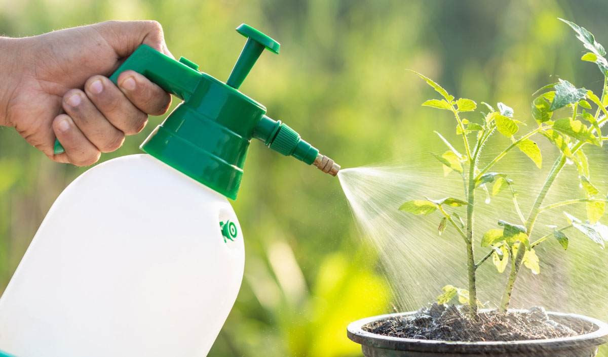 The global organic pesticide market is predicted to grow dynamically