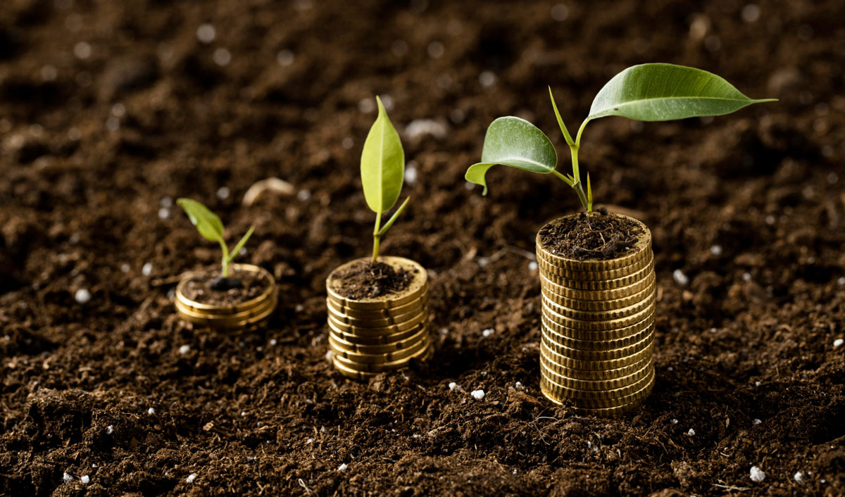 Seed producers will be supported by grants