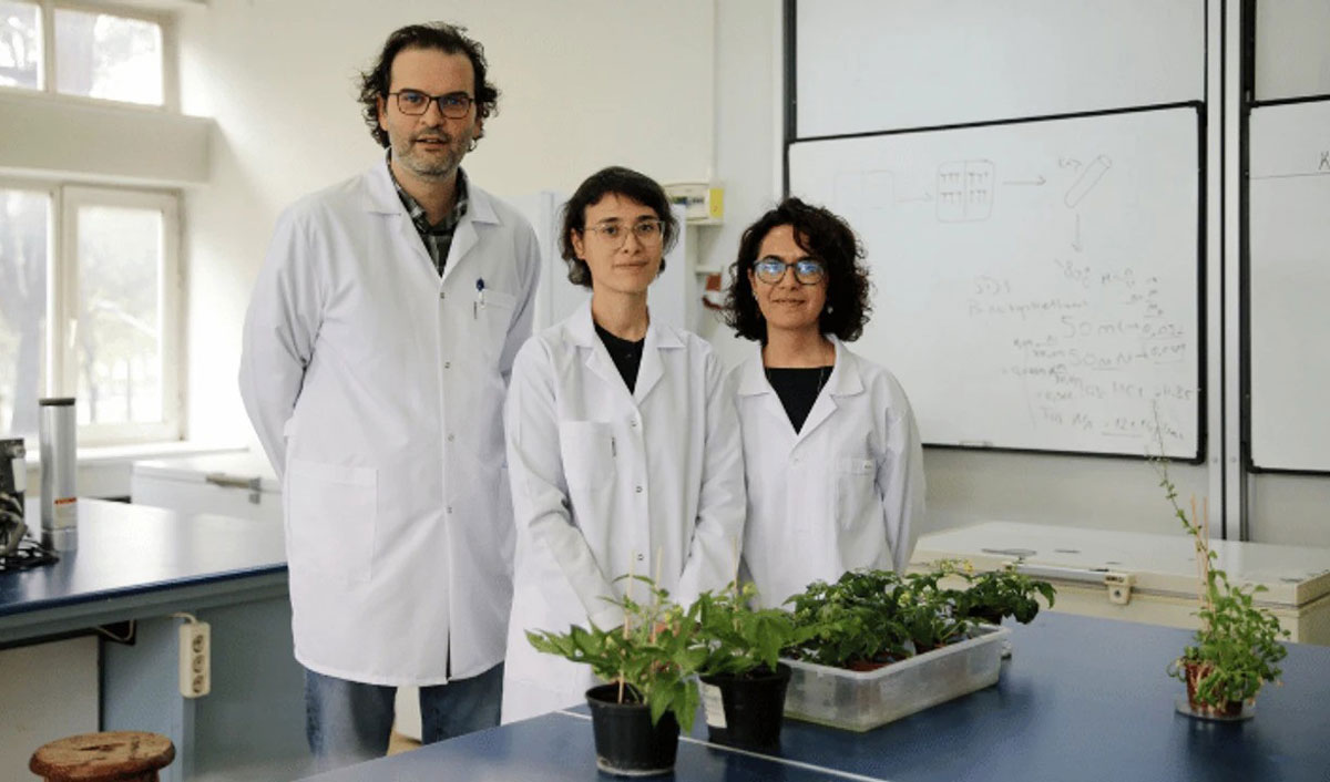 Oamenii de știință turci au cultivat roșii într-un sol care imită regolitul de pe Lună și Marte