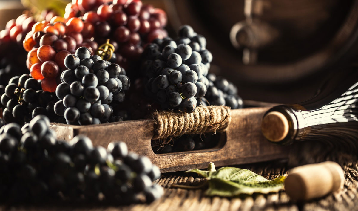 Bulgaria’s Bessa Valley Winery brings Eastern Europe into the premium winemaking segment