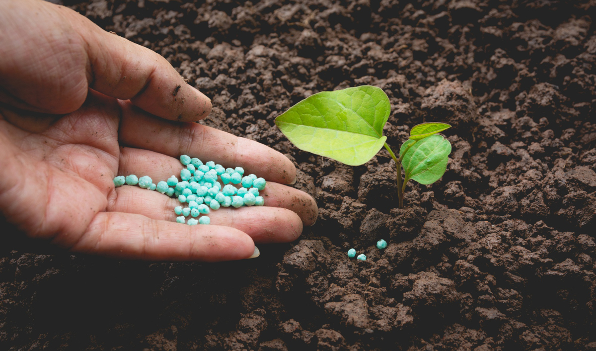 Opinie: creșterea costurilor îngrășămintelor azotate va fi rentabilă