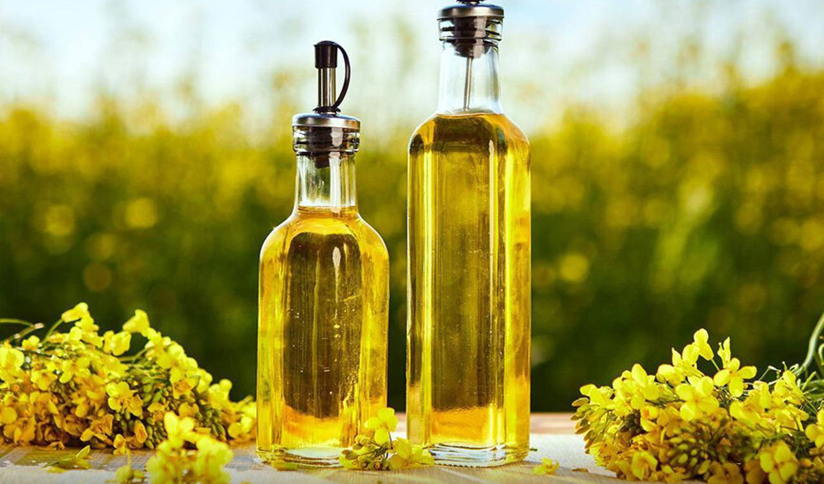 Ukraine increased rapeseed oil exports 34 times in 2026
