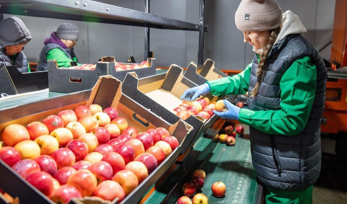 Moldova Fruct: 15% of the budget to the agricultural sector