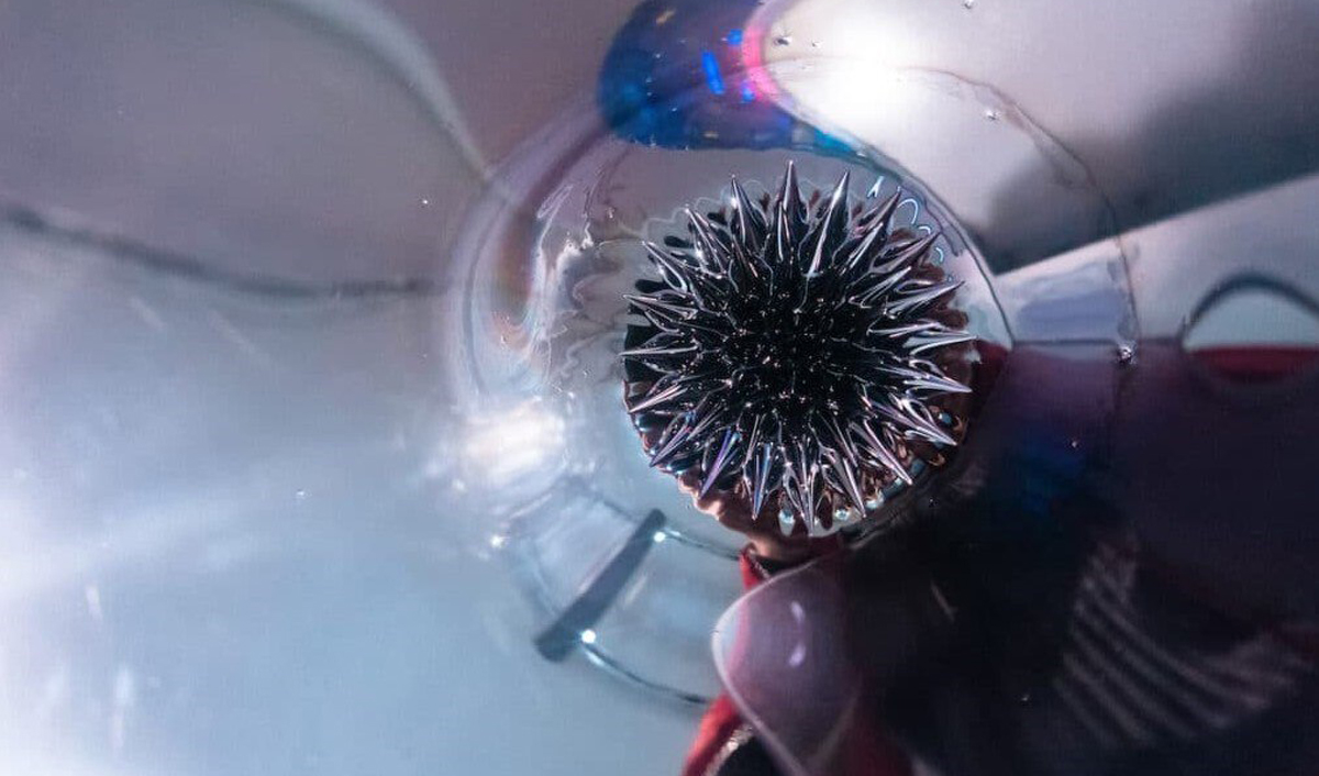 O elevă din SUA a reușit să elimine mai mult de 90 % din microplasticele din apă