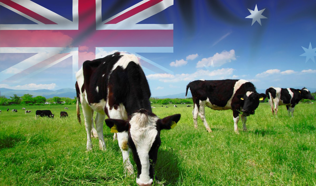 Fermierii europeni sunt împotriva „ușii deschise” pentru produsele agricole din Australia