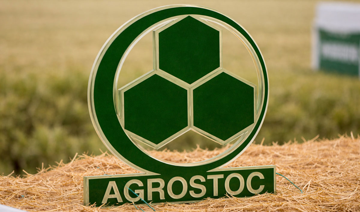 Стратегия Agrostoc: осторожное, но поступательное развитие