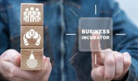 incubator de afaceri