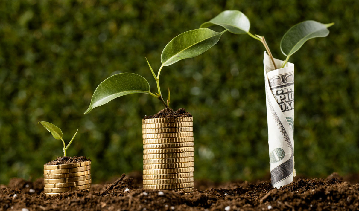 Producătorii de legume și fructe de pădure pot beneficia acum de subvenții în cadrul programului AGGRI