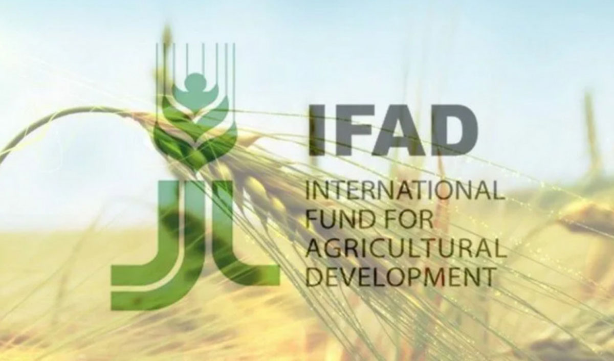 Bani de la IFAD pentru proiecte destinate tinerilor și femeilor din mediul rural
