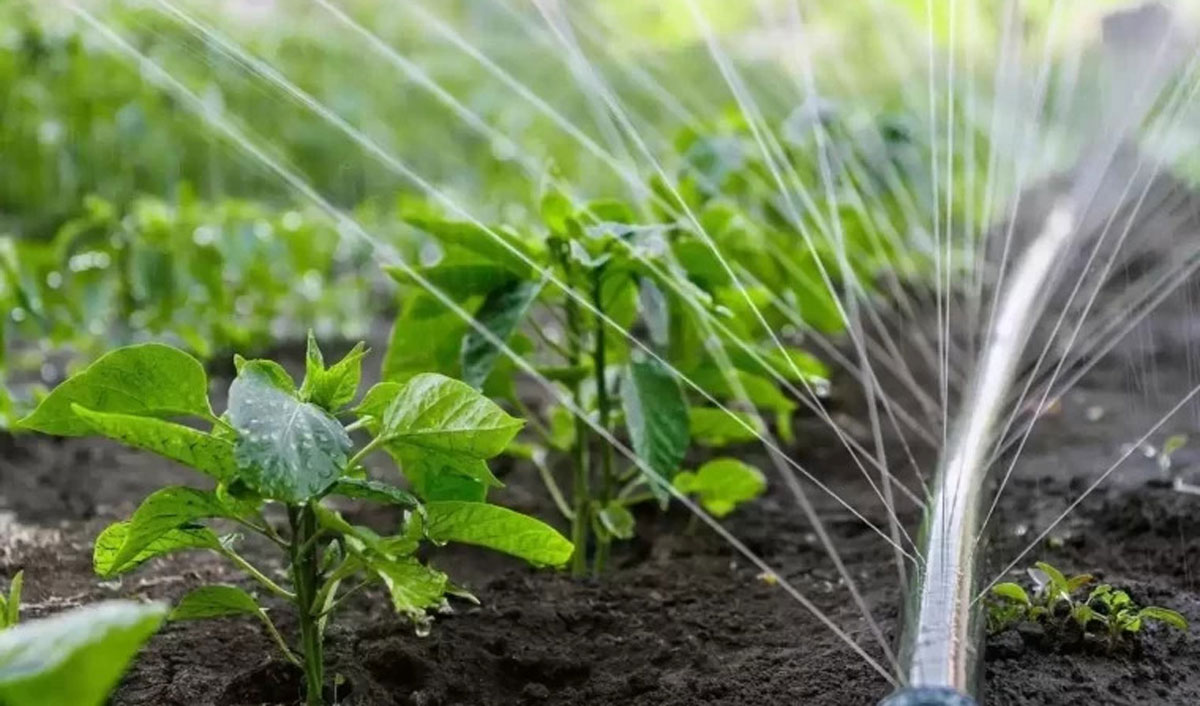 Fermierii din nordul Moldovei ar putea avea dificultăți cu irigarea