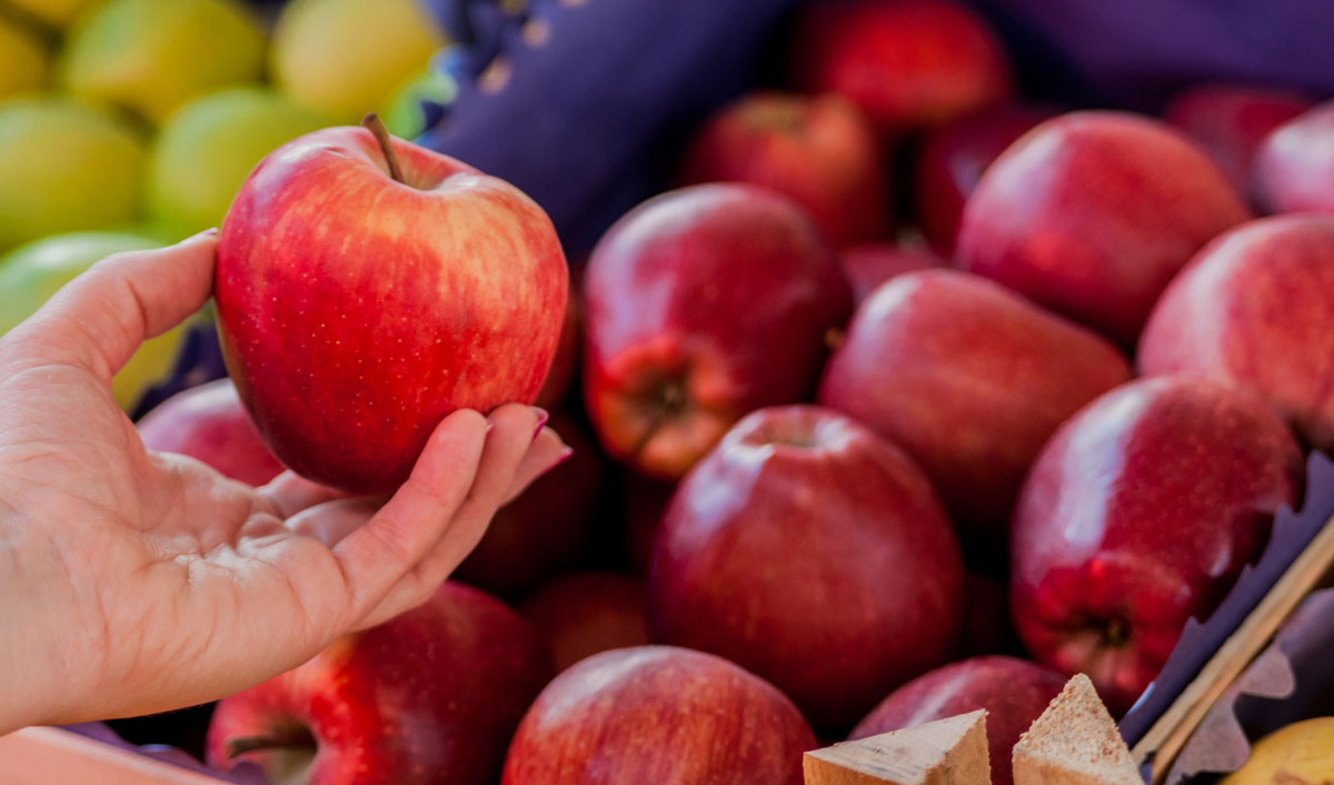 Oficiul de Pomicultură din Moldova ar putea să nu apară niciodată