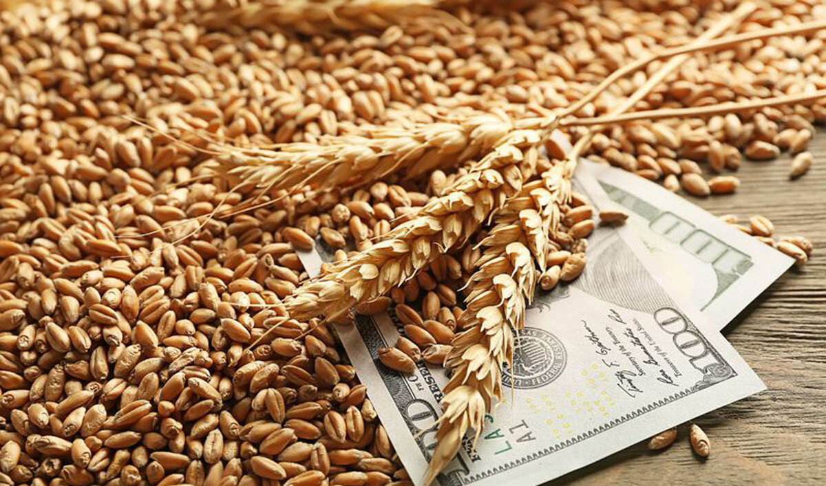 Black Sea wheat price up 2.5% since the start of the war in the Middle East