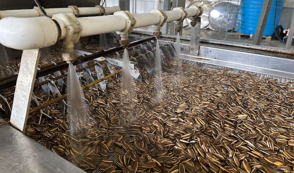 Floarea-soarelui argentiniană nu a respectat normele UE