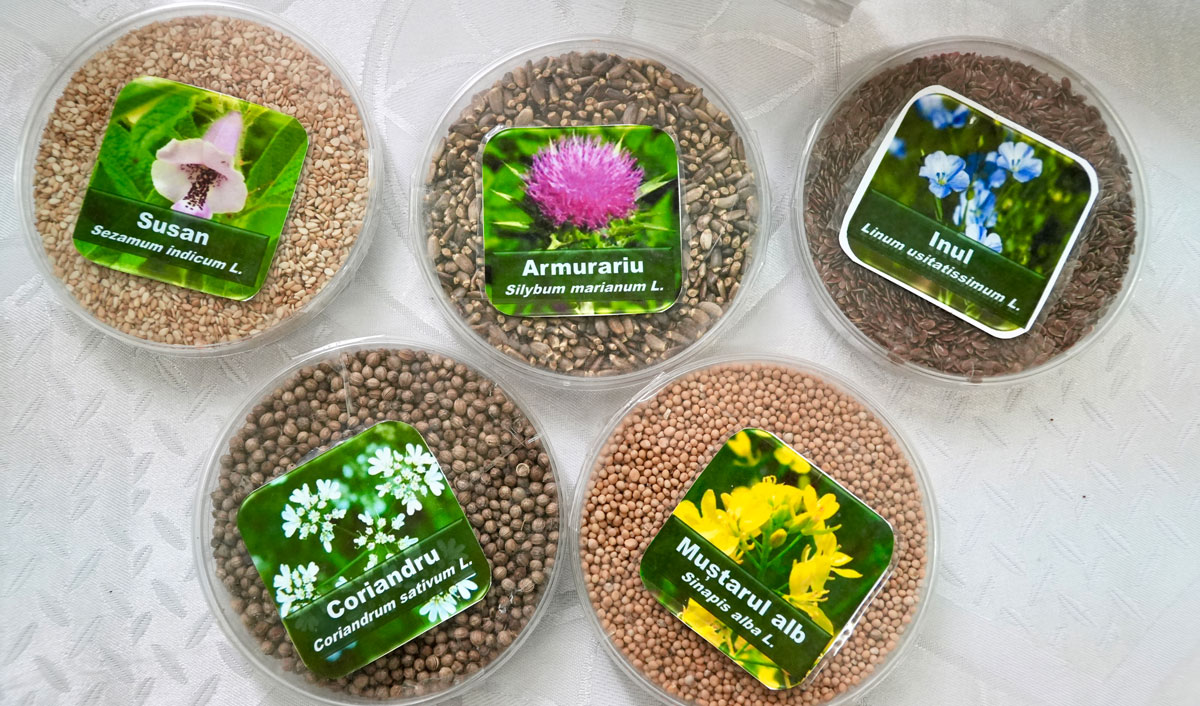 Vasile Charban: Moldova are nevoie de propria producție de semințe