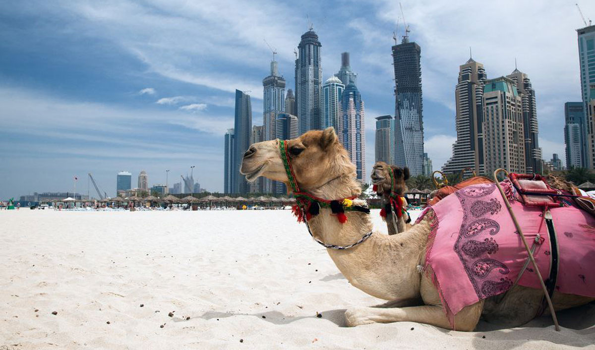 Ущерб туриндустрии  Персидского залива превысит $55 млрд