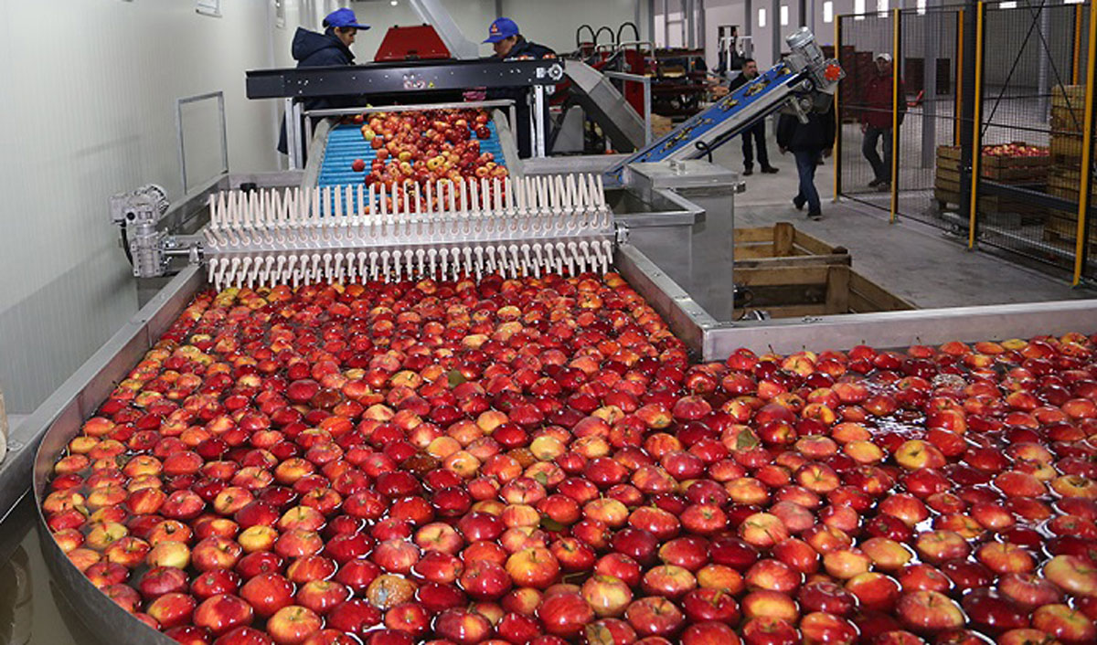Pressure factors for the apple concentrate market