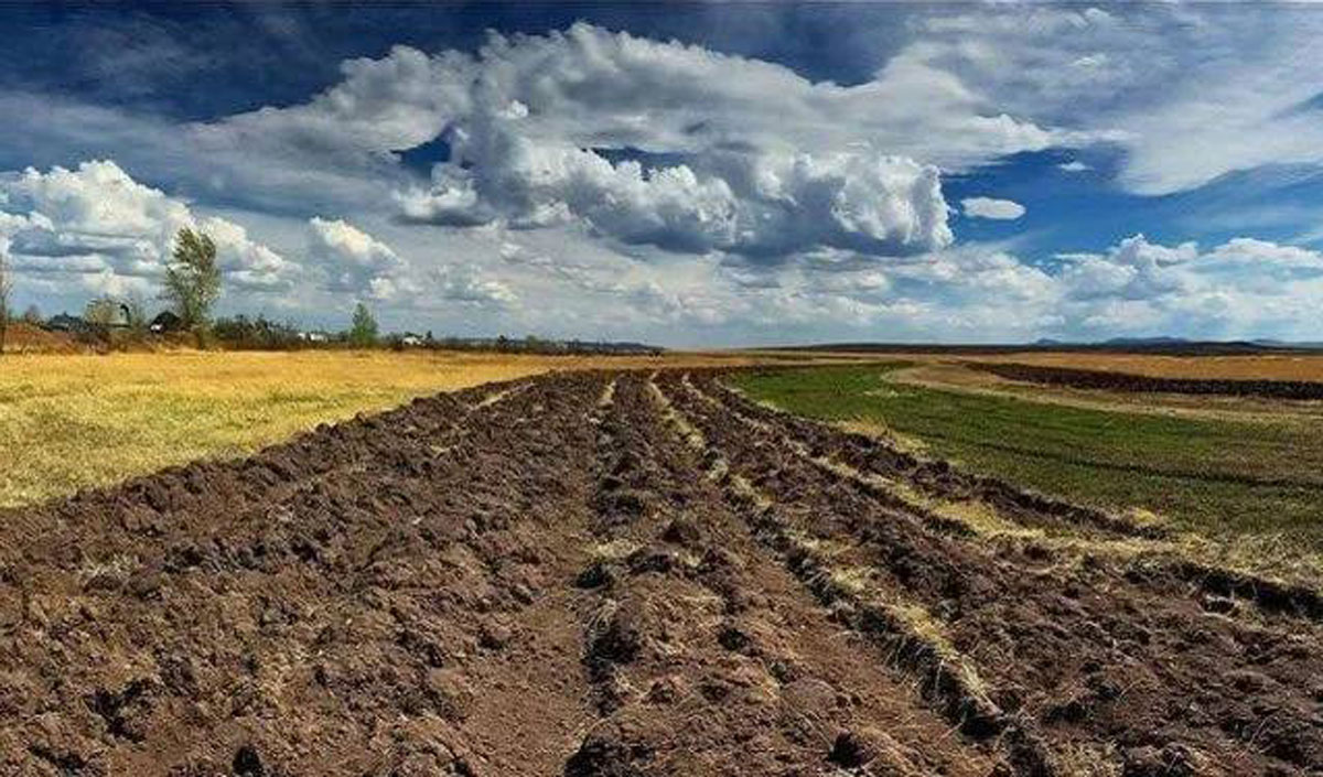 Агрохолдинги Украины теряют и находят земли