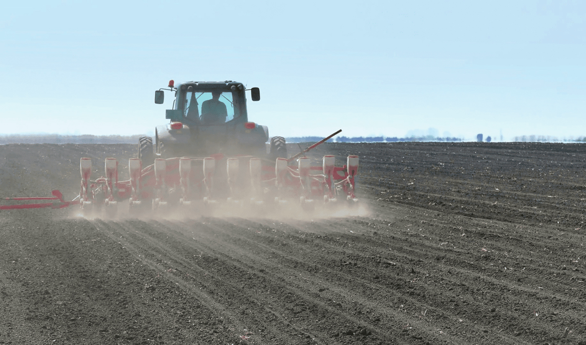 Vânturile puternice usucă solul și spulberă culturile de sfeclă de zahăr