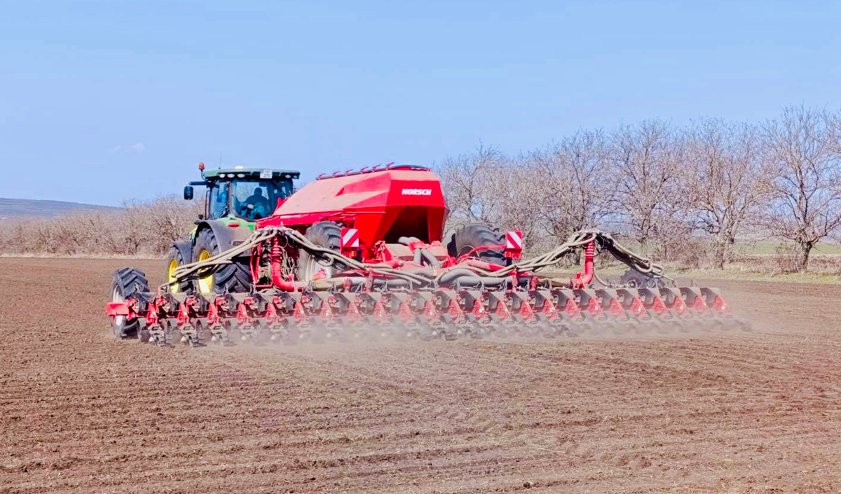 «Половинчатый» план кампании сева сахарной свеклы