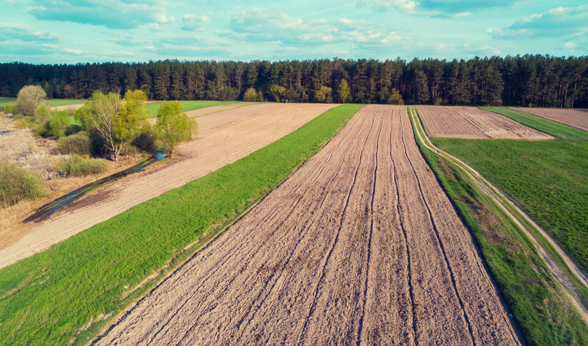 Сколько сельхозземель в мире и Молдове