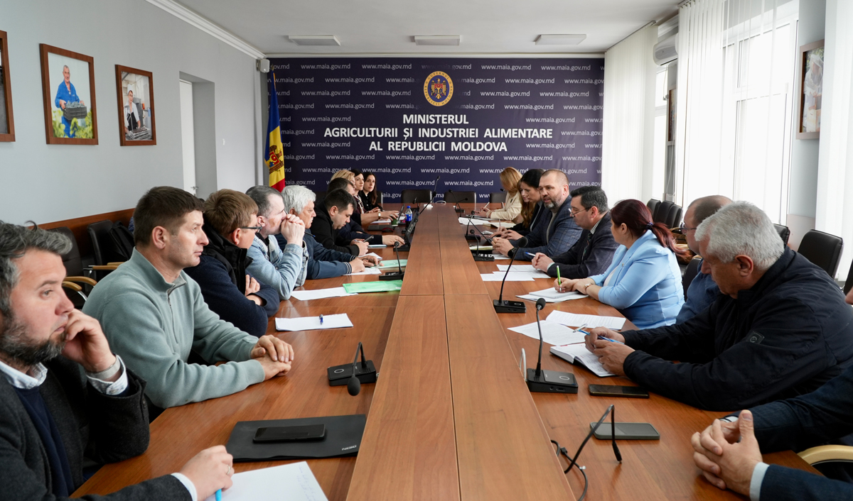 Плодоводы Молдовы предлагают восстановить лицензирование проектировщиков плантаций